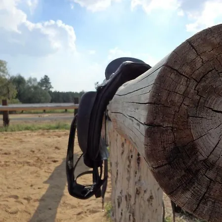 Agroturismo Dżygitówka